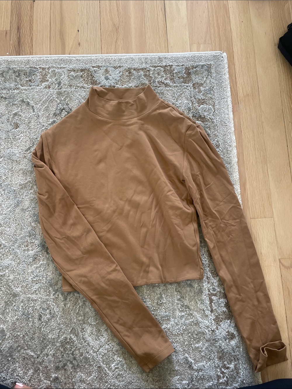 Aritzia Countour Camel Long Sleeve Crop Mock Neck Top